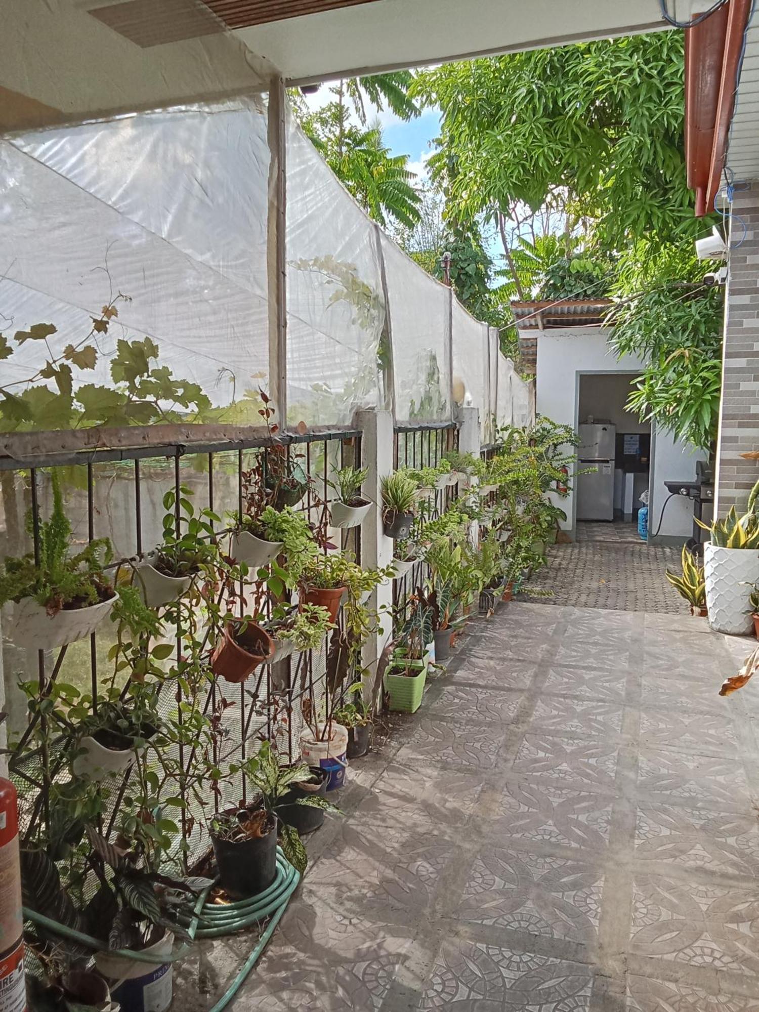 Yoo Darius' Residences Moalboal Extérieur photo